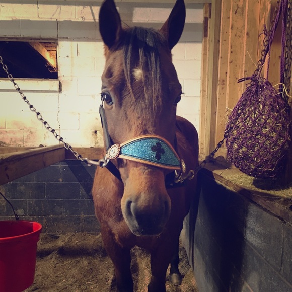 Not for sal - Picture 1 of 1